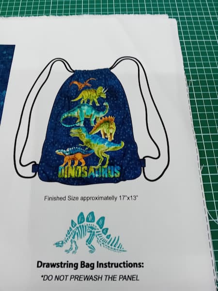 20260608_144627 Tasche - Panel - Rucksack - Dinos - Kinder