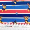 20260901_132412 (1) Softshell - Meterware - Kinder - Paw Patrol