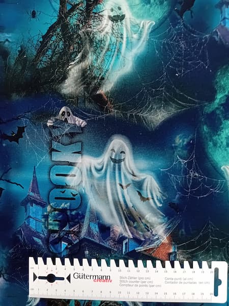 20260908_172616 French Terry - Halloween - Geisterhaus -